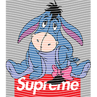 Brand Catalog-ZX 1003